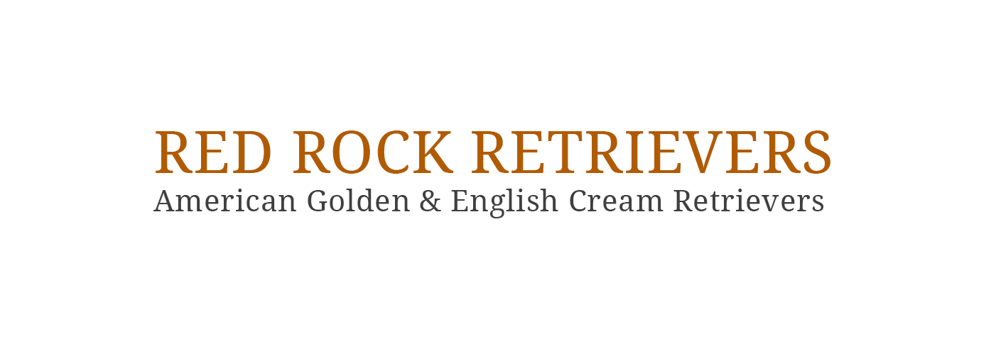 Red Rock Retrievers – Golden Retriever 