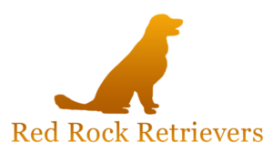 Red Rock Retrievers Puppies